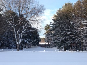 backyard snow photo