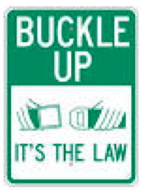 buckle-up-law