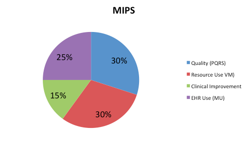 MIPS Category Weights