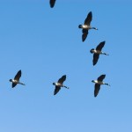 Migrating from Volume to Value: Are you ready?