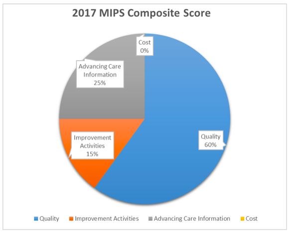 2017 MIPS composite score