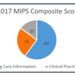 2017 MIPS composite score